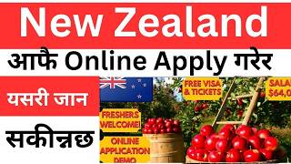 how to apply new zealand work visa online new zealand working visa from nepal | new zealand working 