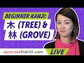 Beginner Kanji: How to Use ?(tree) & ?(grove) in Japanese