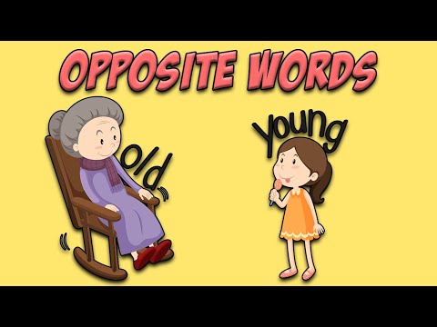 Her Ortaokul Öğrencisinin Bilmesi Gereken İngilizce Zıt Anlamlı Kelimeler | OPPOSITE WORDS