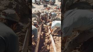 Excavation Uncovers Tools Built For Processing Mive Animals