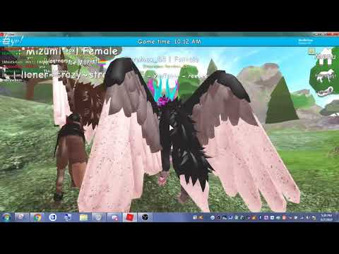 Shyfoox Tagged Videos On Videoholder - roblox crossed paws wip i met shyfoox phini hd