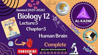 Human Brain | Nervous System Of Man | Biology12 | Chapter5 (FBISE NBF New Book 2025)