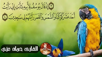 تلاوة مبكية من سورة يوسف (يوسف واخوته)حماد عزي