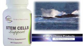 Stem Cells Support