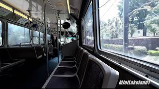 CARTA (Charleston, SC): 1996 New Flyer D35HF (Diesel) #3426 CARTA (Charleston, SC): 1996 New Flyer D35HF (Diesel) #3426