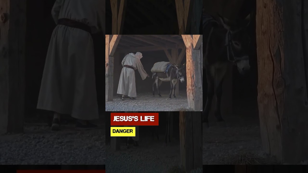 Жизнь Иисуса. Опасность.