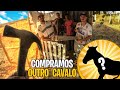 FAZENDO UMA BAIA  PARA O NOVO CAVALO