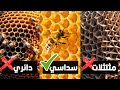 ليه النحل بيبني الخلية بالشكل السداسي بالذات مش أي شكل تاني؟