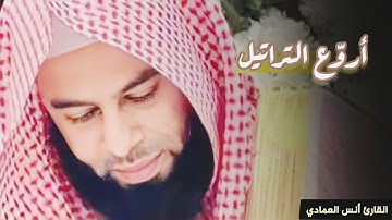 ما تيسر من سورة النور تلاوة جميلة للشيخ أنس العمادي | عشاء 25-10-1445 هـ