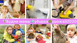 🧚🏻Будни многодетной мамы🧼Убираю с пылесосом  Karcher sv1802🥗наш урожай2020