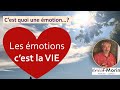 Et si vous faisiez de vos motions vos allies  tuto  lart de comprendre nos motions