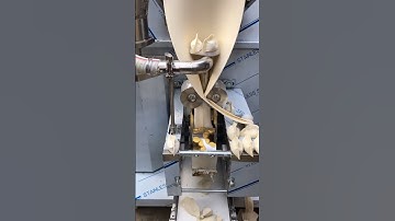 MNS-150 Dumpling Machine
