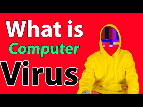 What is Computer Virus?