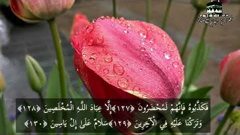 من روائع التلاوات الحجازية  للقارئ عبد العزيز الفقيه _ فَلَوْلَا أَنَّهُ كَانَ مِنَ الْمُسَبِّحِينَ
