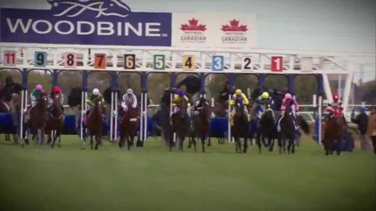 horse racing news Woodbine Turf Course