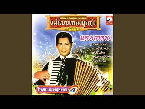 แตงเถาตาย