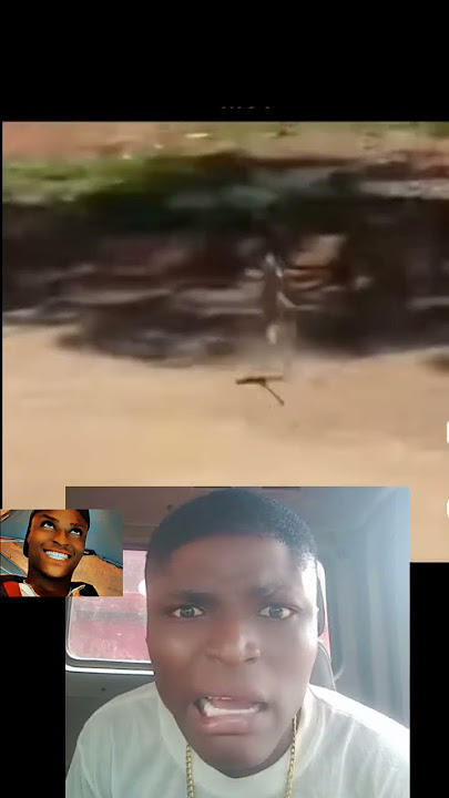 no be watin I dey think shaa.                      no be bird pikin😁😁