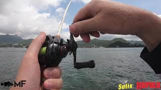 Redfish on a Hong Kong Island