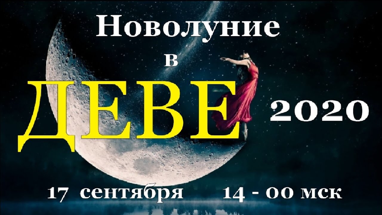 Знаки зодиака даты. Гороскоп для девы на февраль 2024 года. Гороскоп для львов на 2022. Дракон знак зодиака. Мой знак зодиака.
