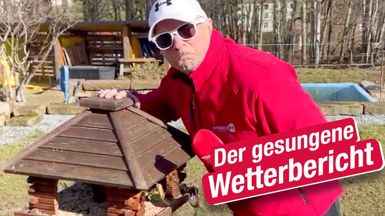 Gesungener Wetterbericht – Spider Murphy Gang