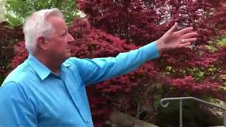 Red Maple Rill Tour