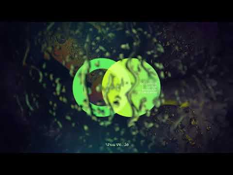 Chris Berner, Leville, Mia Coolpa - Let The Light In // Area Verde