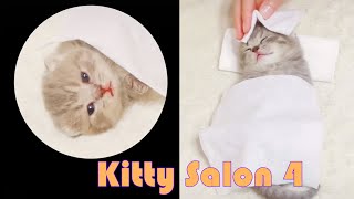 【Holiday Special】Kitty SALON 4 Super cute kitten baby cat having SPA treatment | She made my day