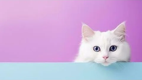 20 Minutes of Adorable Kittens 😍 | BEST Compilation