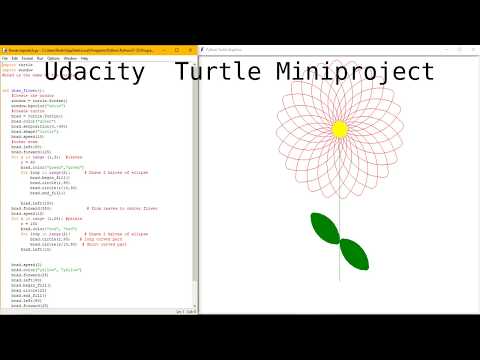 Udacity Turtle Miniproject