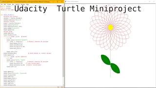 Udacity Turtle Miniproject