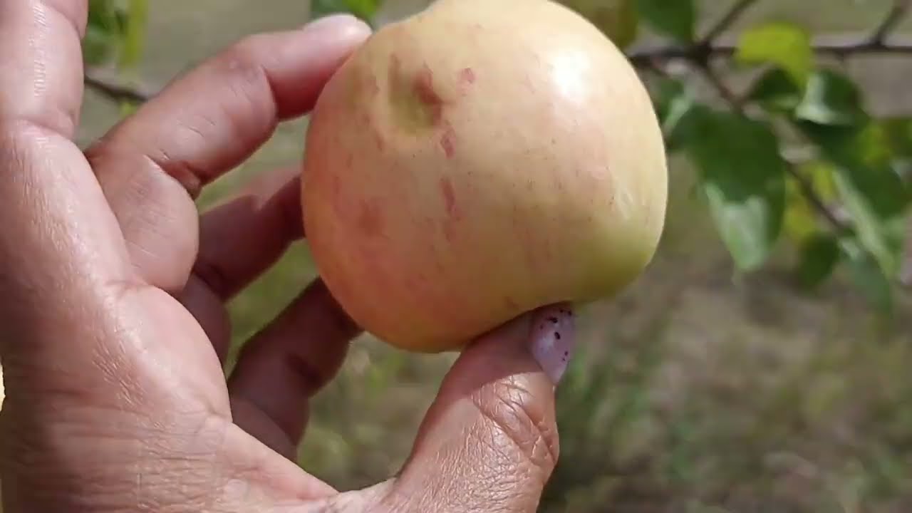 После очень долгого перерыва 😃мы так же в деревне