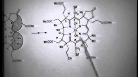 R.B. Woodward Total Synthesis of Vitamin B12 Lecture - Part 2