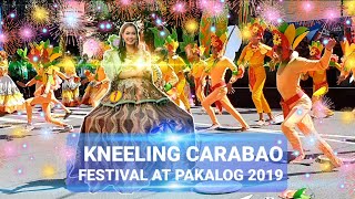 Kneeling Carabao Festival I Pakalog 2019 I Darwin Ramos Vlogs