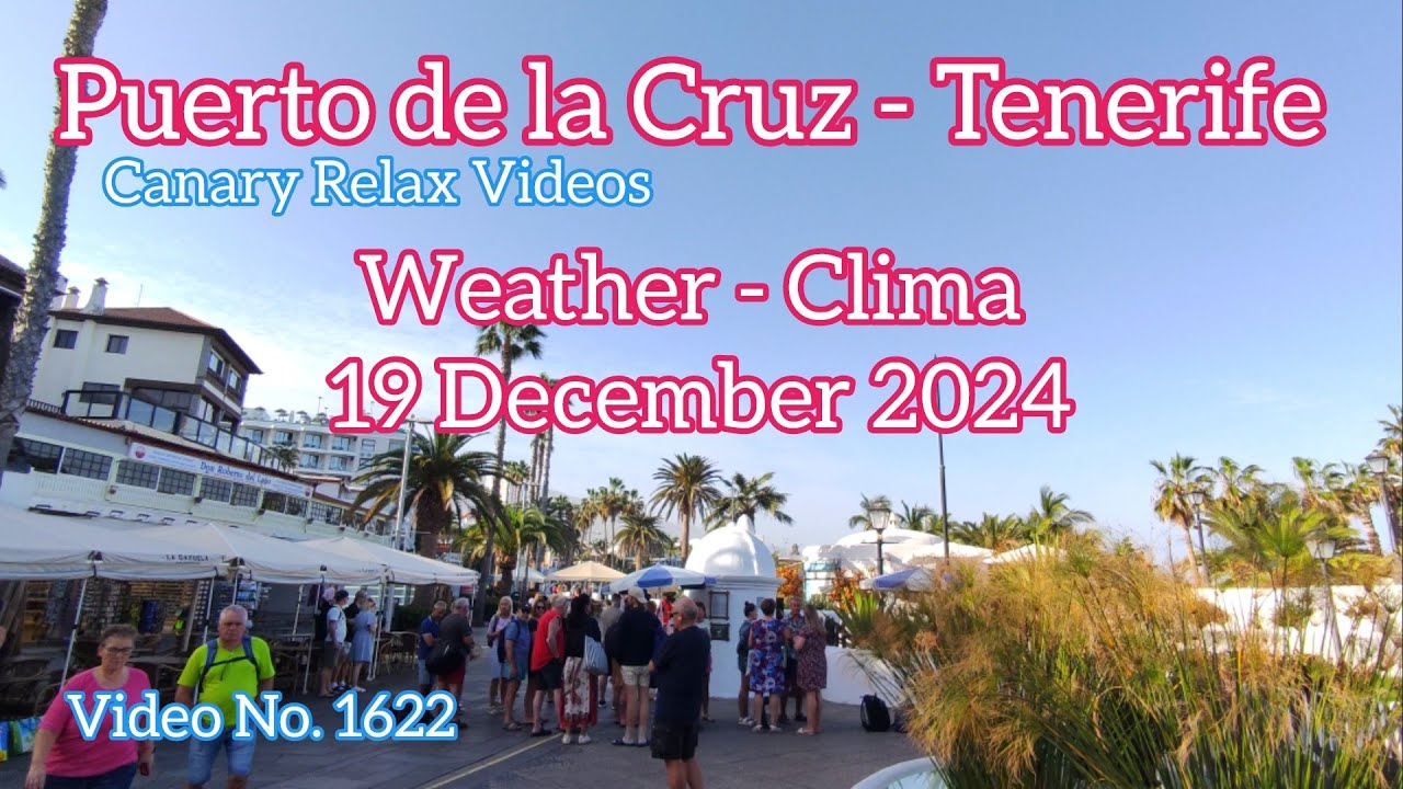 Tenerife 🏝️ Puerto de la Cruz Morning Weather 19 December 2024