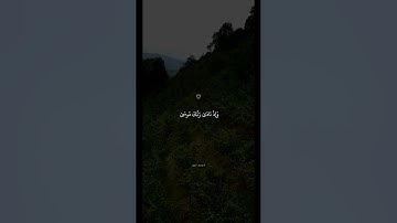 تلاوة خاشعة للشيخ #ماهر_المعيقلي #اكسبلور #المصحف #قرآن #راحة_نفسية #القرآن_الكريم #quran