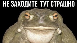 Не заходите на это видео!!!