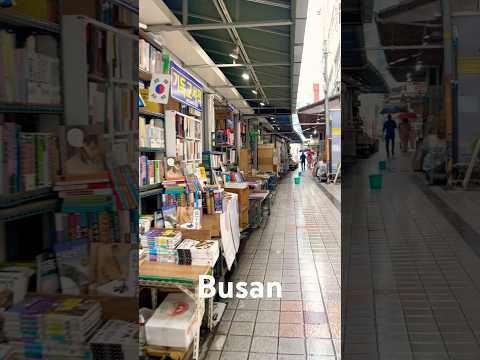 Busan’s Most Cozy Street ☔📚