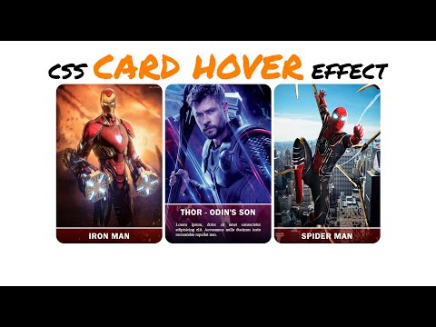 #8 CSS Card Hover Effect || Html CSS || Animated Card