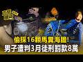 偷採16顆馬糞海膽！男子遭判3月徒刑 罰款8萬【直擊現場】