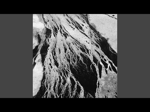 Jesse Draxler — I Saw You Digging