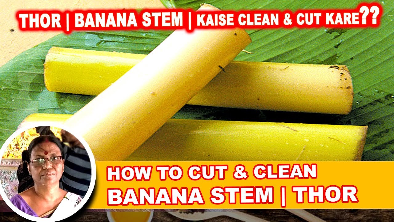 How to Cut & Clean Banana Stem or Thor? Banana Stem Cutting & Cleaning