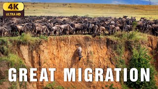 The Great Migration – A Cinematic Journey Across Africa’s Endless Plains | Relaxing Nature Film 4K