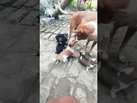 In One Glance I Stole My Heart