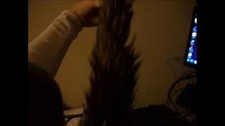 My Wolf Tail