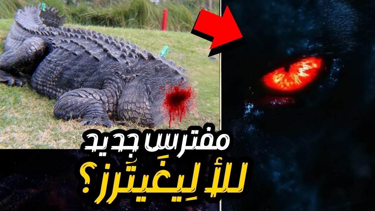 🚨 عاجل: مفترس مجهول يصطاد التماسيح في فلوريدا - الكاميرات سجلت شيء صادم!