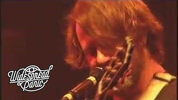 Action Man (from Live at The Backyard)