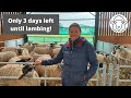 Only 3 days left until lambing - getting the kit ready!