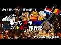 ゆっくり旅行【700日に1度の祭典】フラーワーカーペットと旅のダイジェスト紹介 オランダベルギー旅行記1