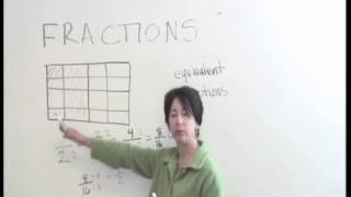 DMA 020 EQUIVALENT FRXNS