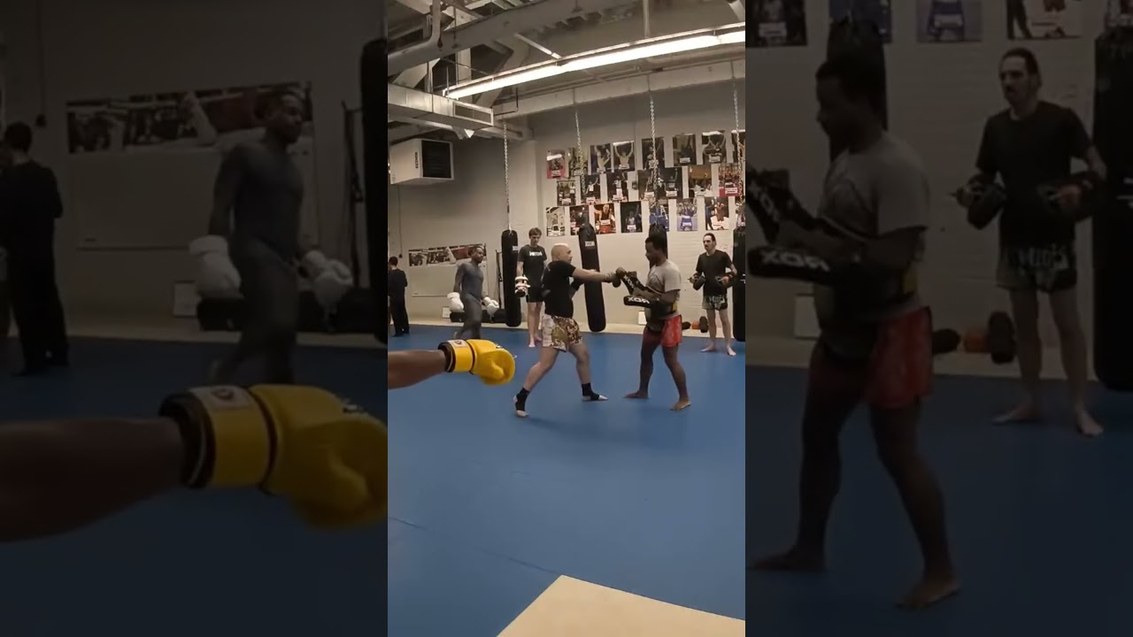 How to bridge the gap like a pro #muaythai #striking #technique